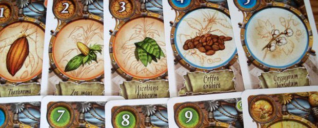 Mundus Novus Mundus Novus is, despite its trade with the new world theme, a light set collection game with a complex(ish) trading mechanic and a bit of card based progress.